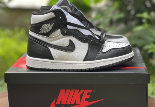 Air Jordan 1  High OG Invert DR0501-101 40--47.5